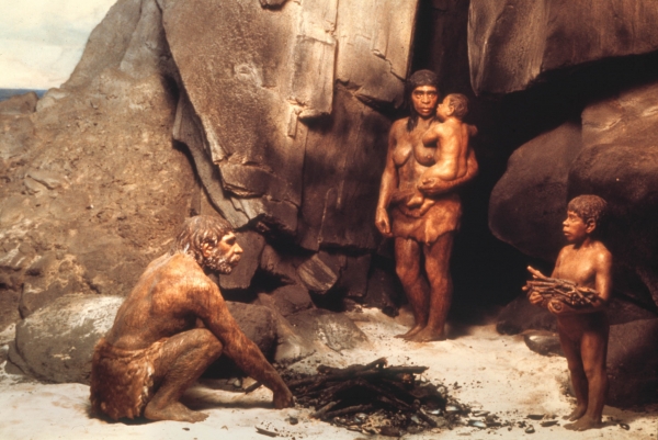 Neandertalienii si Oamenii au coexistat timp de milenii